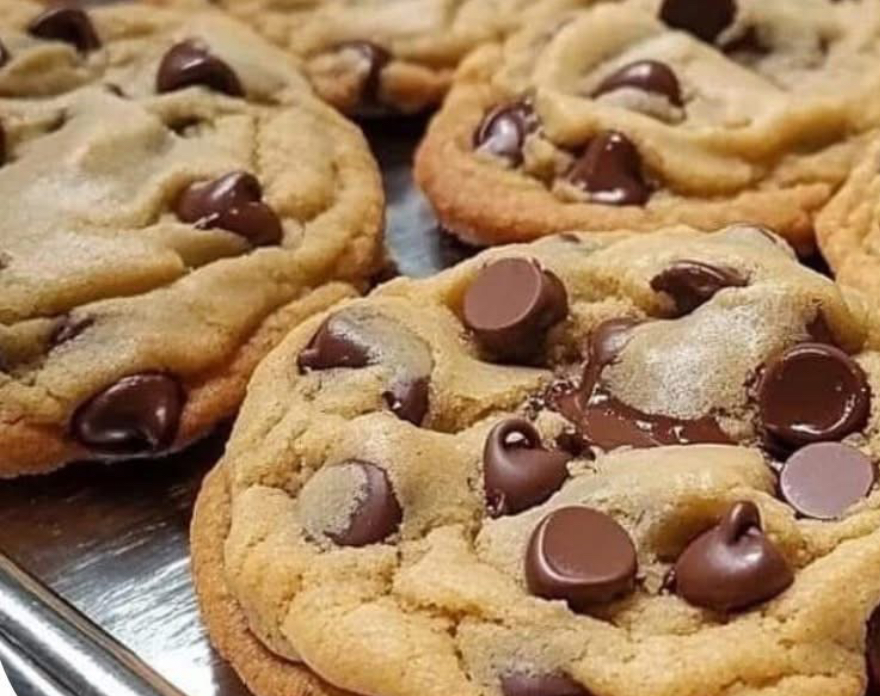 Thumbnail for COOKIES WITH CHOCOLATE CHIPS