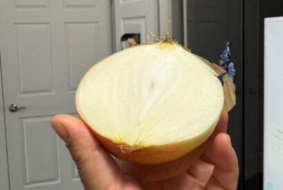 Thumbnail for How to Safely Store a Cut Onion
